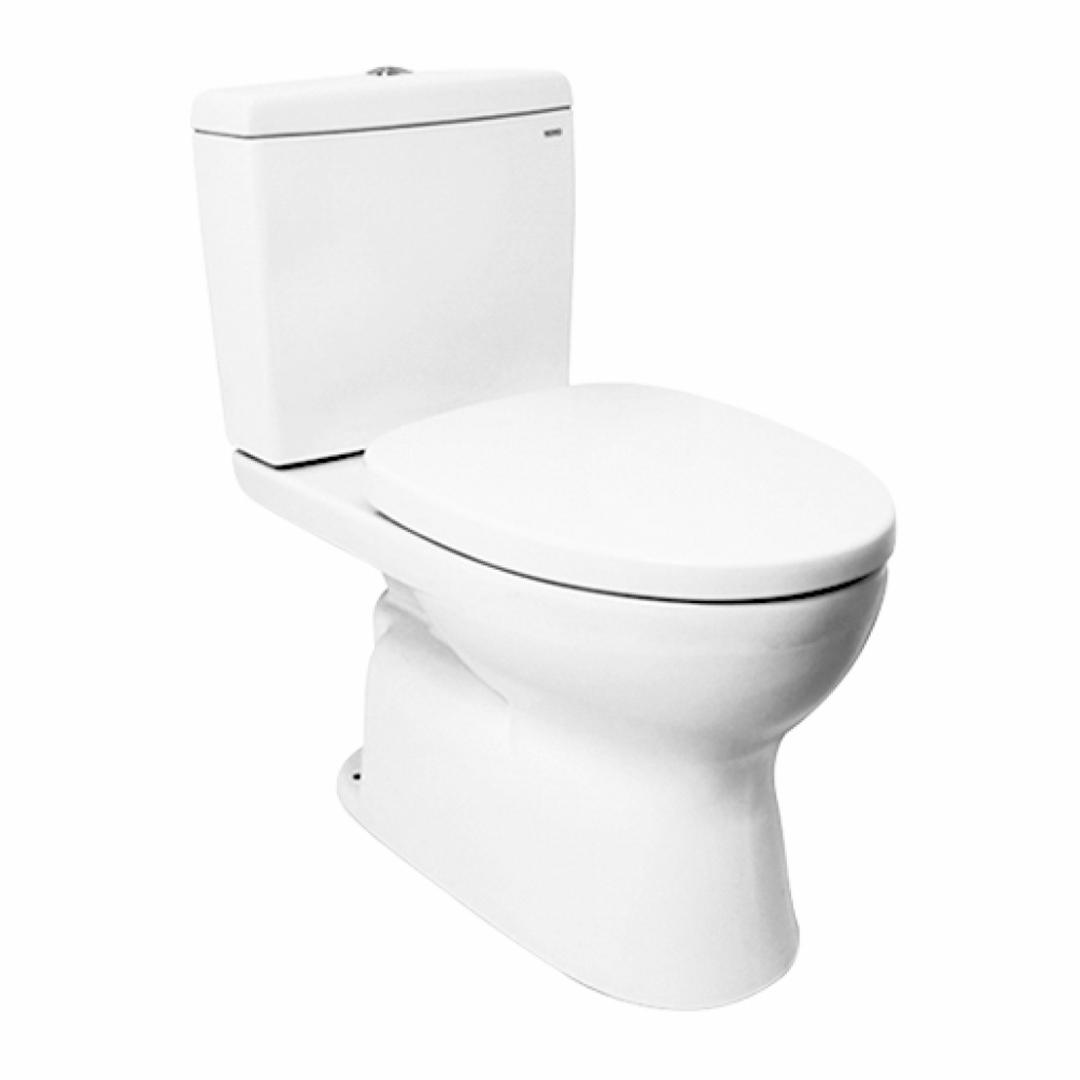 TWO-PIECE Watercloset Dual Flush Tank Trims (C320RE) – Robins Design ...